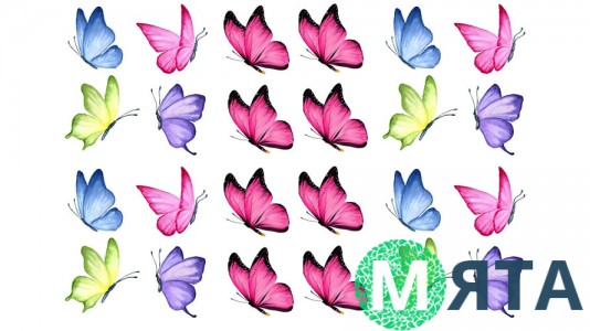 Метелики 11