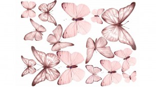 Їстівна картинка Метелики 16