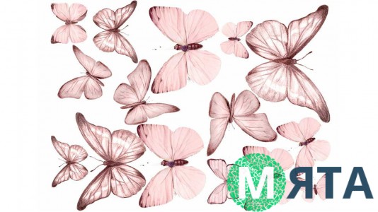 Їстівна картинка Метелики 16