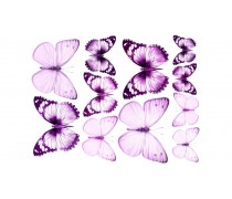 Їстівна картинка Метелики 19