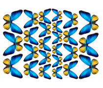 Їстівна картинка Метелики 23