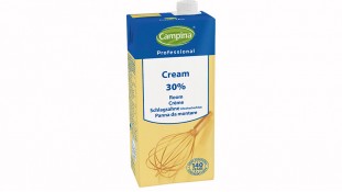 Тварини вершки Campina cream 30%
