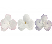 Вафельна Орхідея