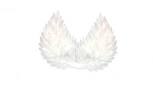 Вафельний декор Великі Крила Вафельний декор Великі Крила