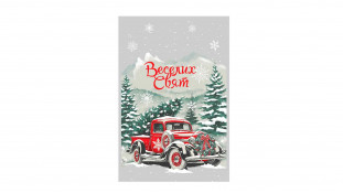 Пакет Новорічний №5, 20х30 см Пакет Новорічний №5, 20х30 см