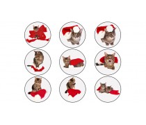 Новогодняя картинка 8