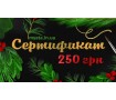 Новогодний Сертификат 250 грн