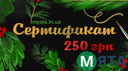 Новогодний Сертификат 250 грн