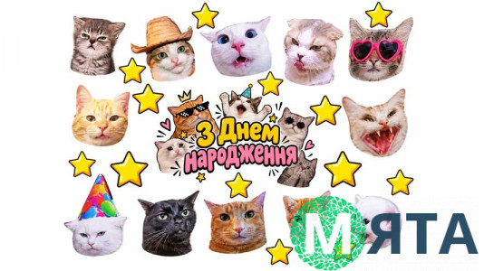 Съедобная картинка Коты 11 