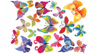 Бабочки 3