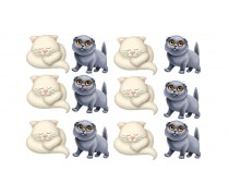 Котики