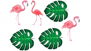 Съедобная картинка с Фламинго 4