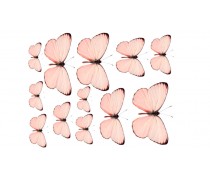 Бабочки 7