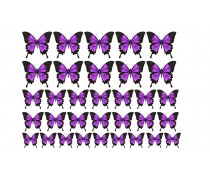 Бабочки 8