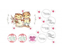 Съедобная картинка Совушки