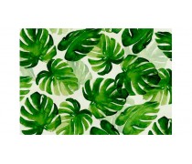 Листья пальмы