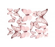 Съедобная картинка Бабочки 16