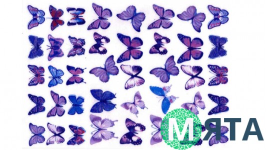 Съедобная картинка Бабочки 18
