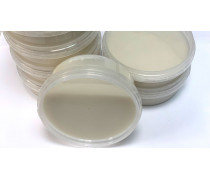 Кокосовая паста 100%, 150 грамм