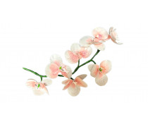 Веточка Орхидеи из вафельной бумаги