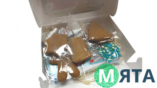 Рождественский набор для украшения пряников